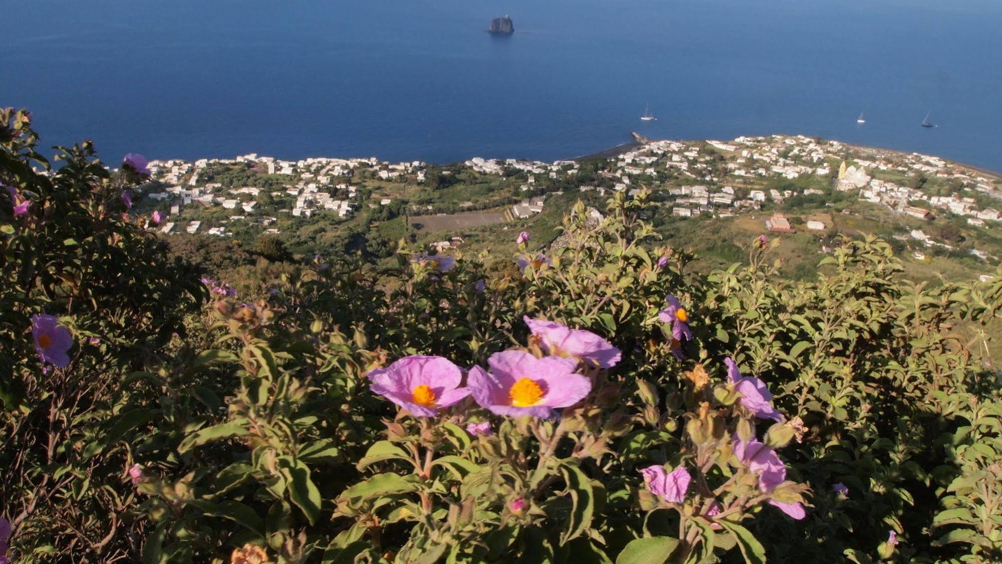 Il Vulcano A Piedi Stromboli Exterior foto